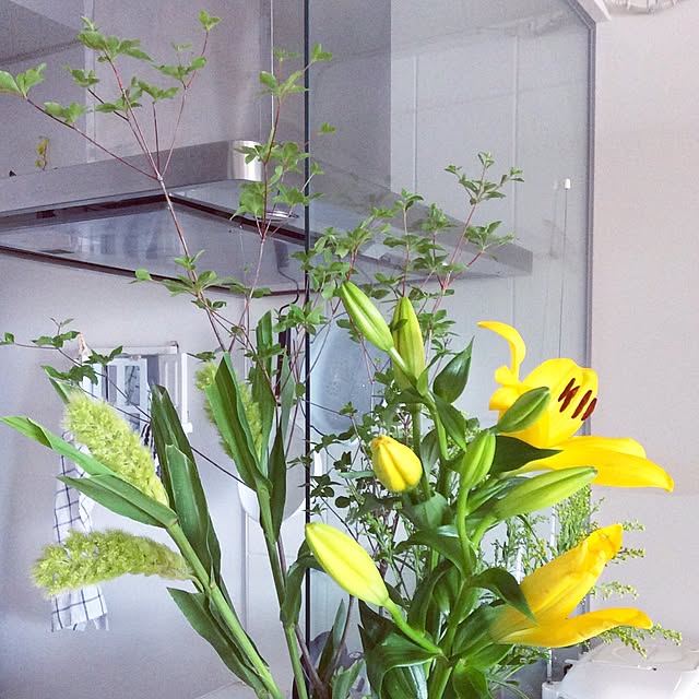 akika_naturalhomeさんの実例写真