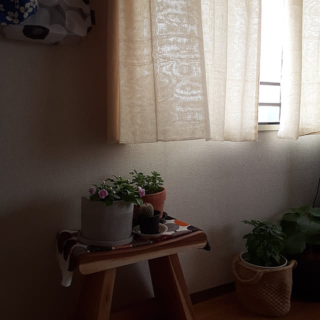 ririeeさんの実例写真