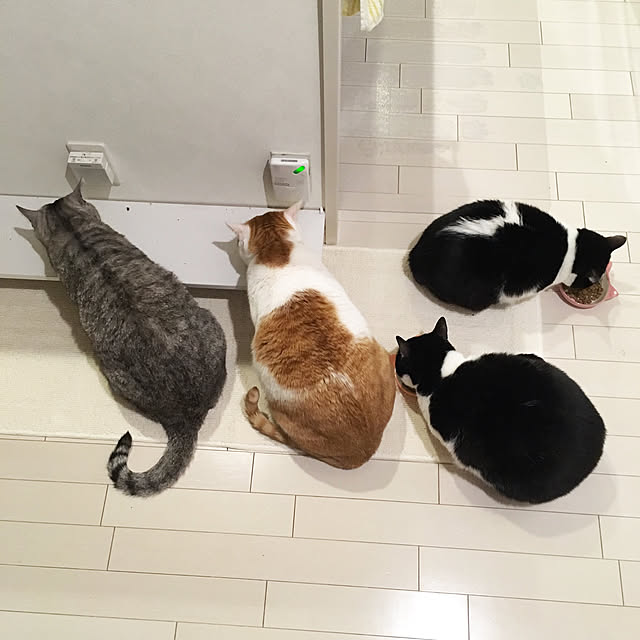 bikkeさんの実例写真