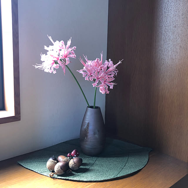 Fuku222さんの実例写真