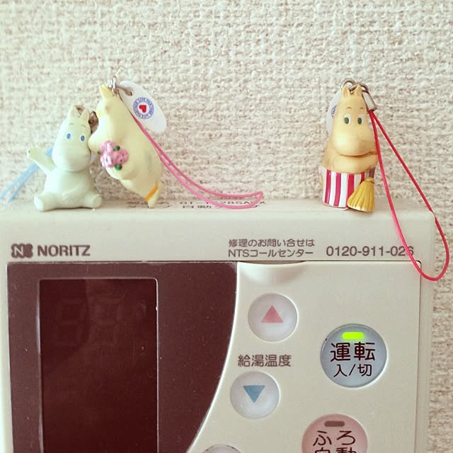 Monamiさんの実例写真