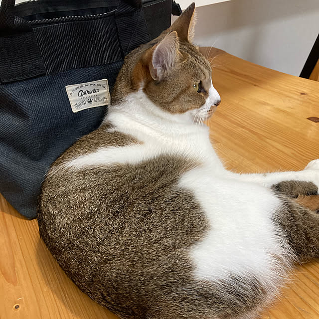 moka06さんの実例写真