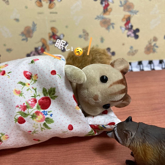 manduonmaさんの部屋