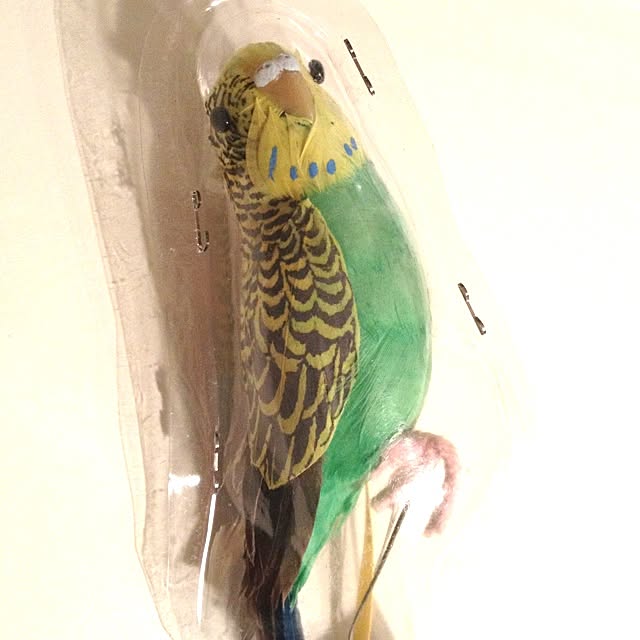 yokoさんの実例写真