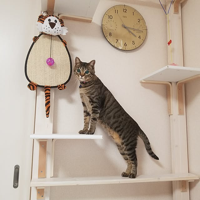 t-famさんの実例写真