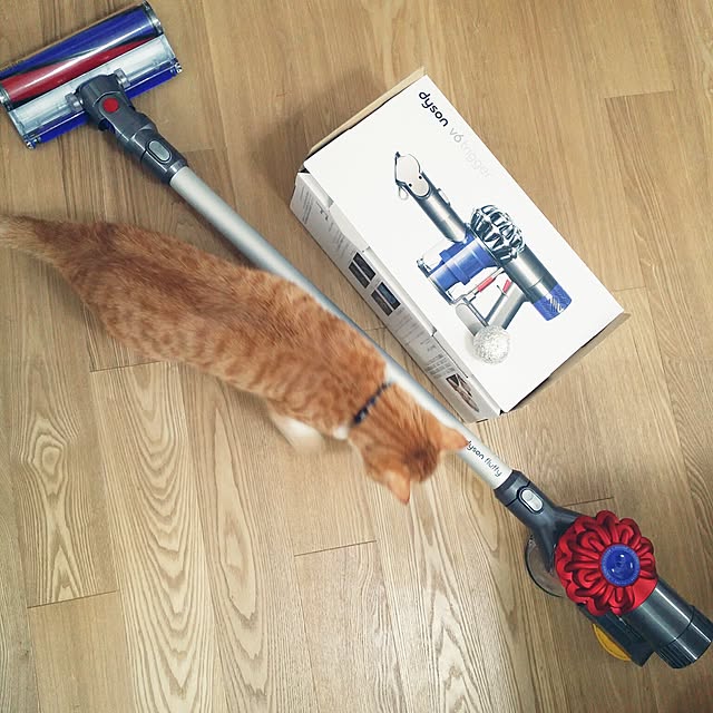jjeennnniiffeerrさんの実例写真