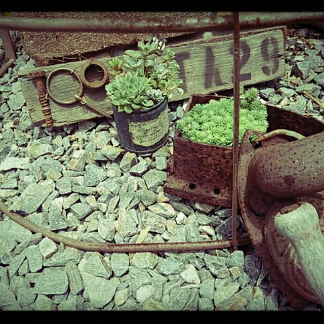 kwn35さんの実例写真