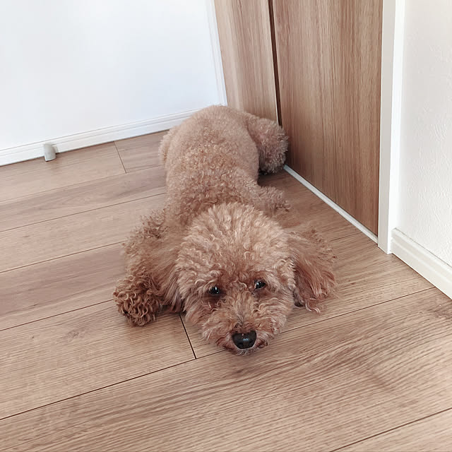 S.fam_houseさんの実例写真