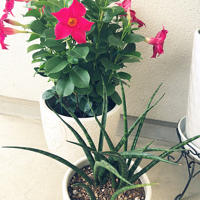 hanachanさんの部屋
