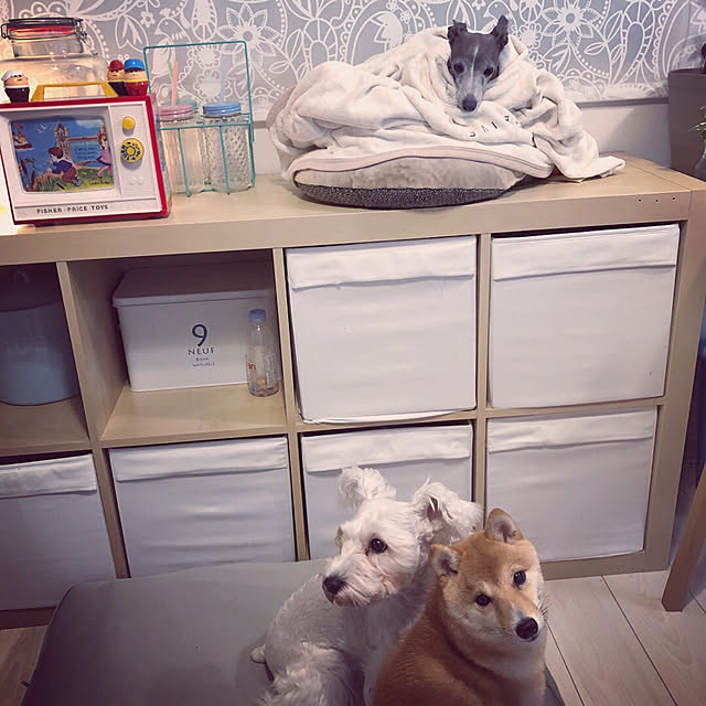 suzyさんの実例写真