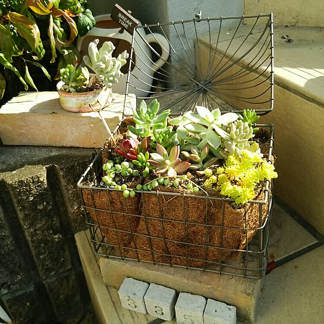 greencafeさんの実例写真