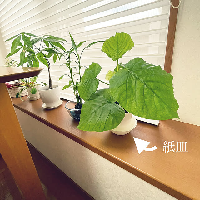 kawauso15さんの部屋