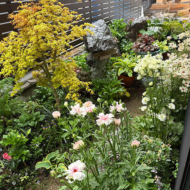 buchiさんの実例写真