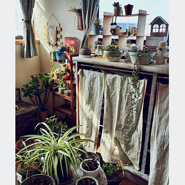 CoCo0617さんの部屋