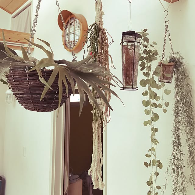 Kenoさんの実例写真