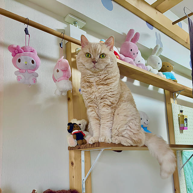 naokoさんの部屋