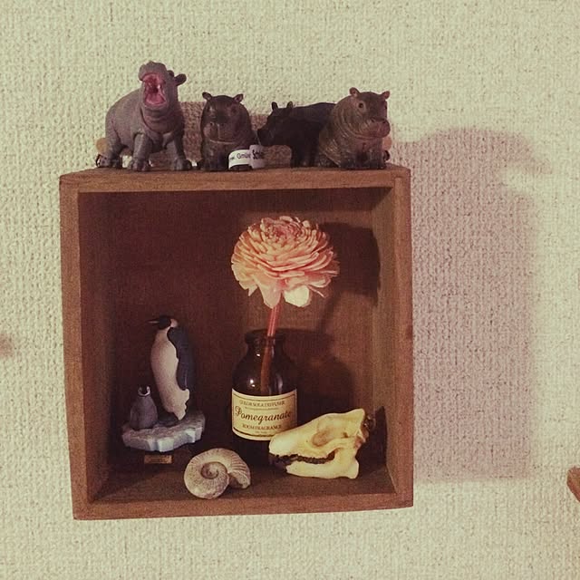koronさんの実例写真