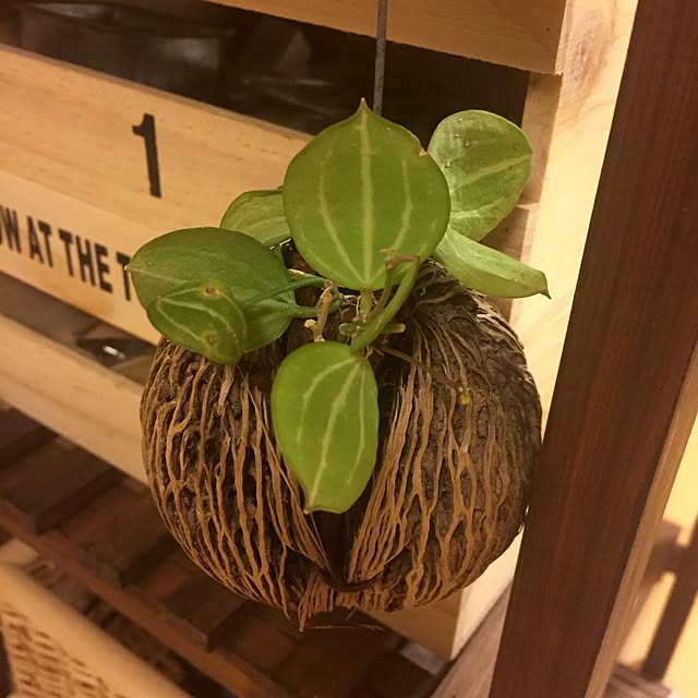Kaneyukiさんの実例写真