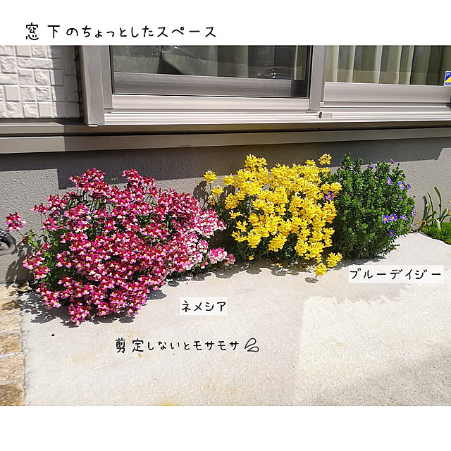 nyancoさんの実例写真