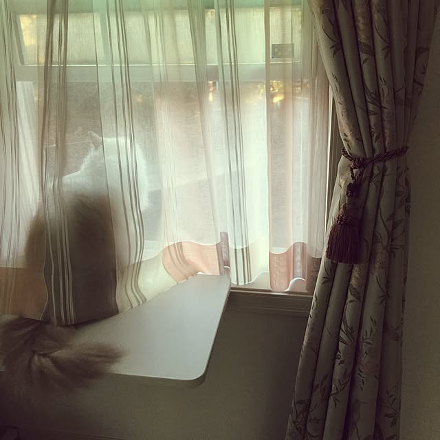 yuchiさんの実例写真