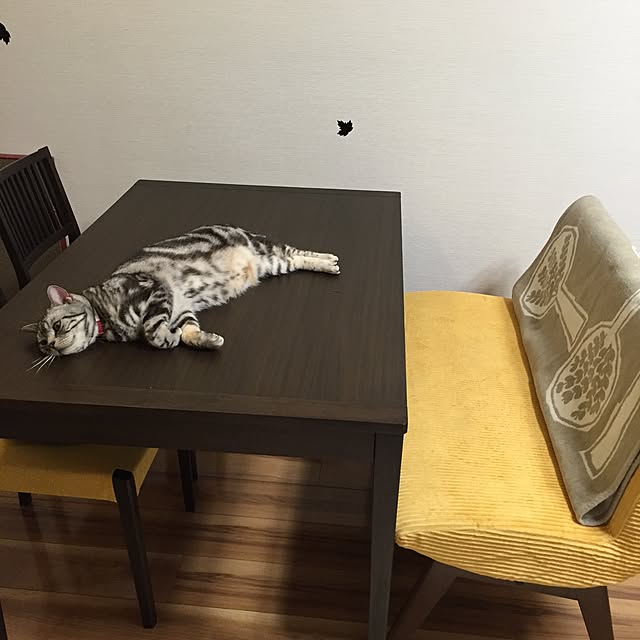 Ryokoさんの実例写真