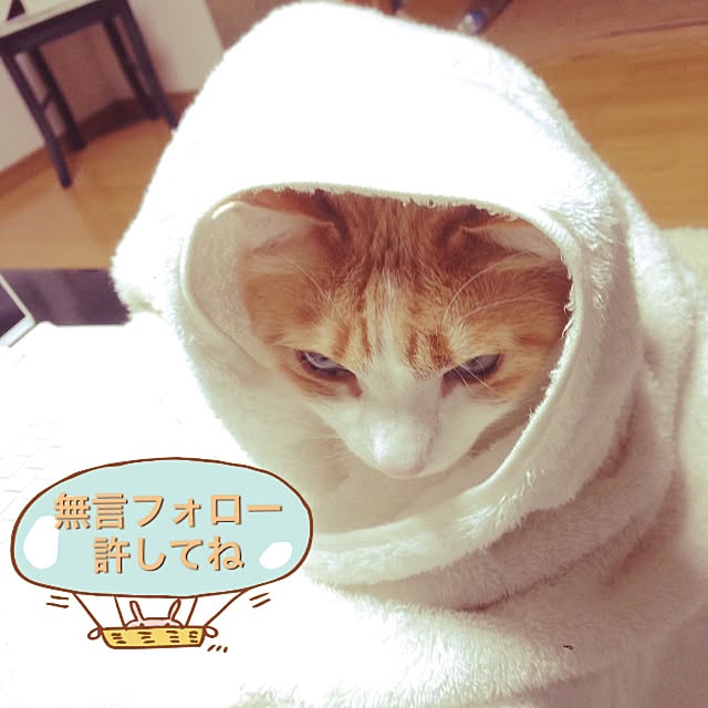 Kinanさんの実例写真