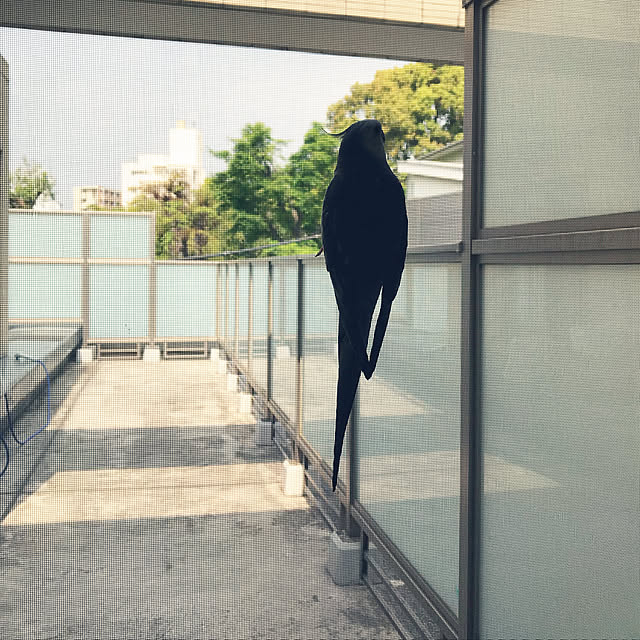 mukuさんの実例写真
