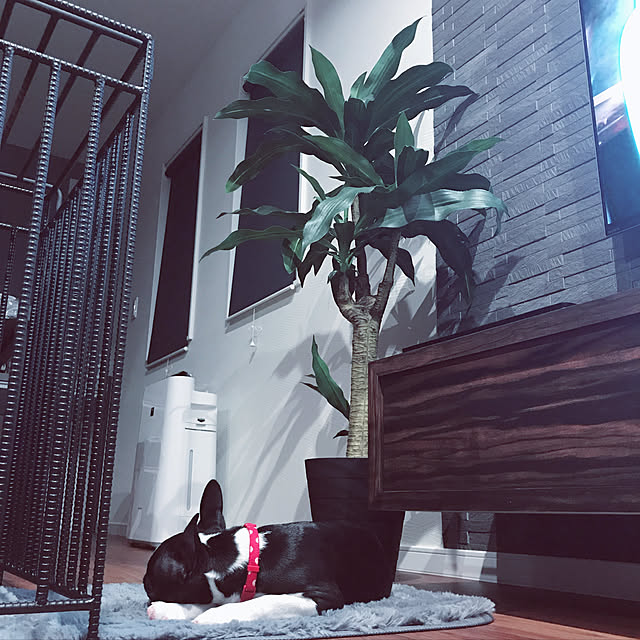 Megugu0512さんの実例写真