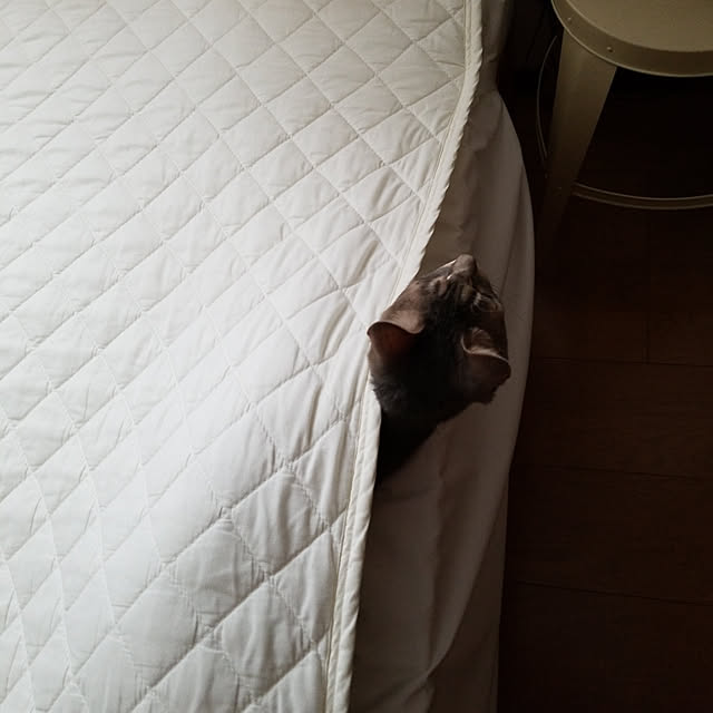 yukiさんの実例写真