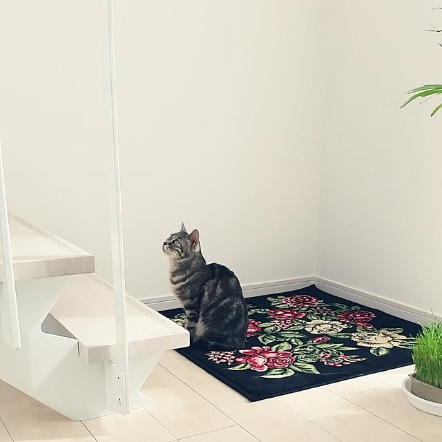 runayucoさんの実例写真