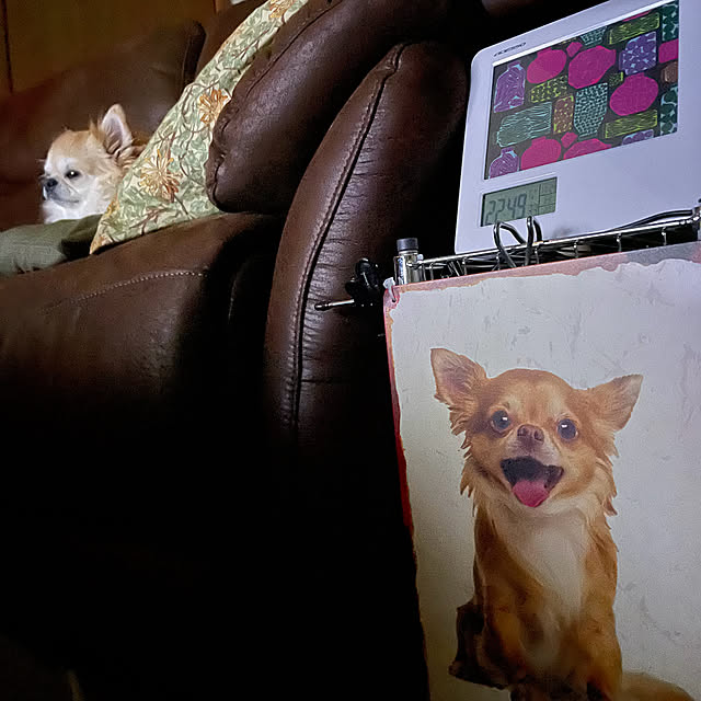 natsumiさんの実例写真