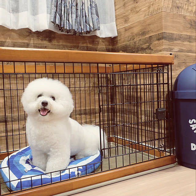 ma_house3101さんの実例写真