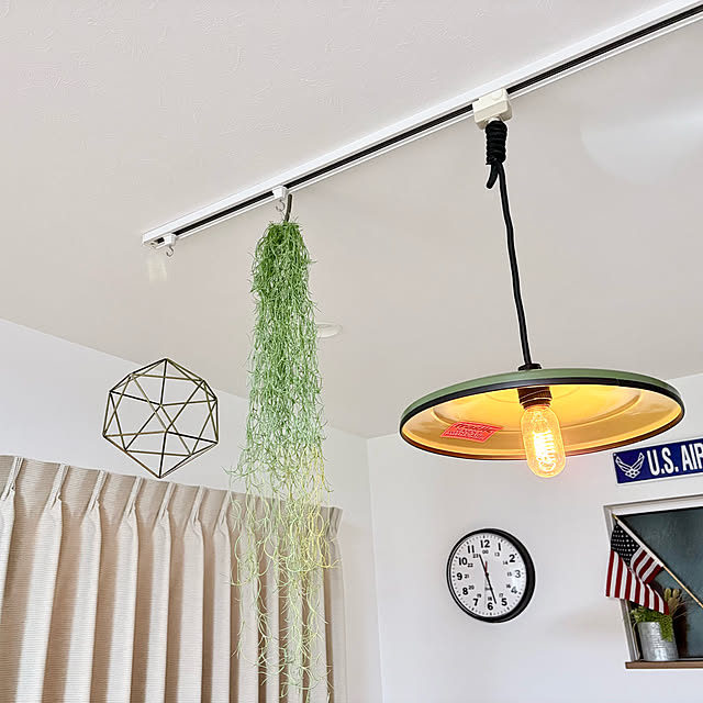 フェイクグリーンのインテリア実例 - 2026-01-30 23:54:23