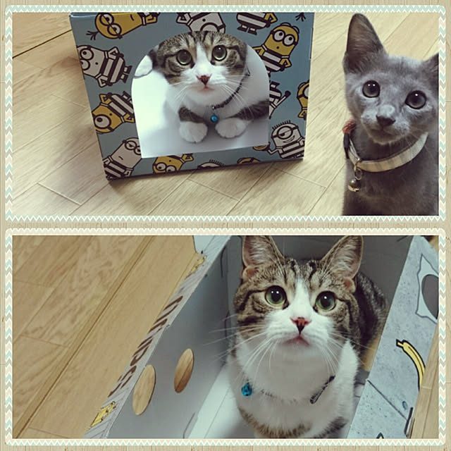 fukusukeさんの実例写真