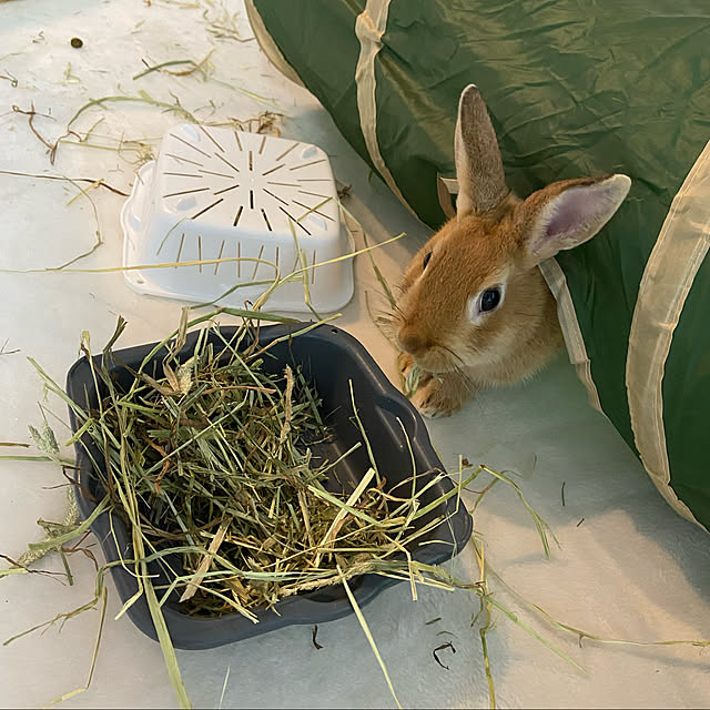 tete07さんの実例写真