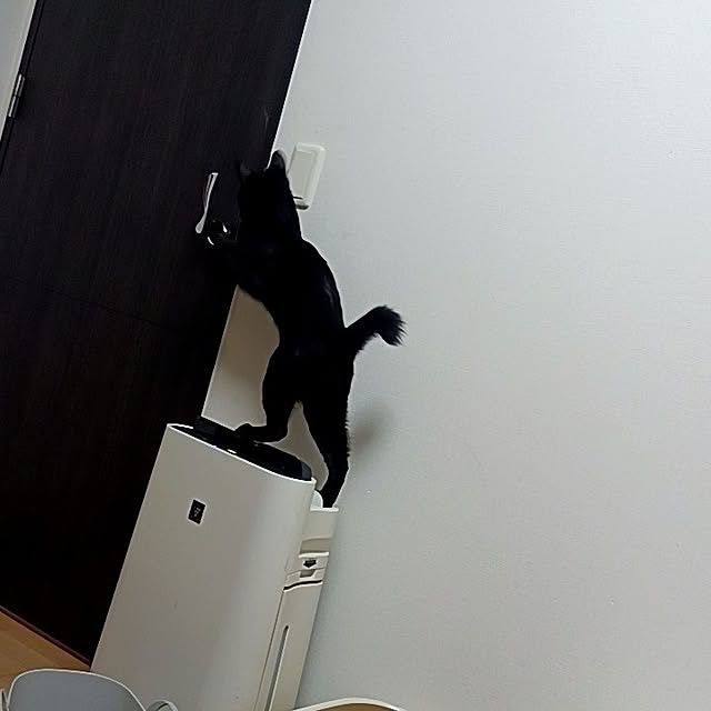 anayoikoさんの部屋