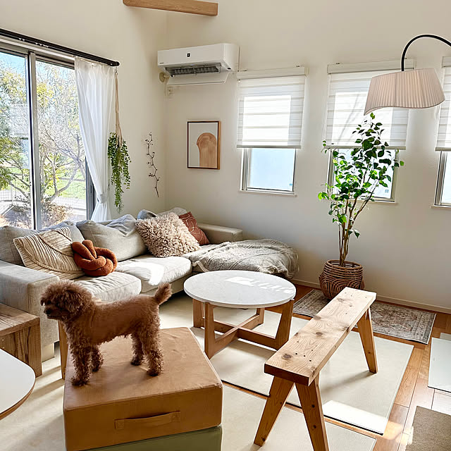 Tarutoさんの部屋