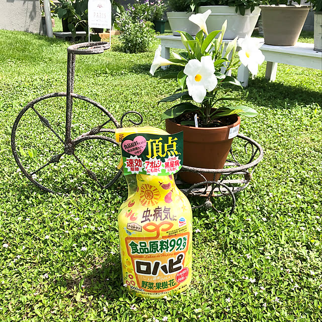 yukiminさんの実例写真