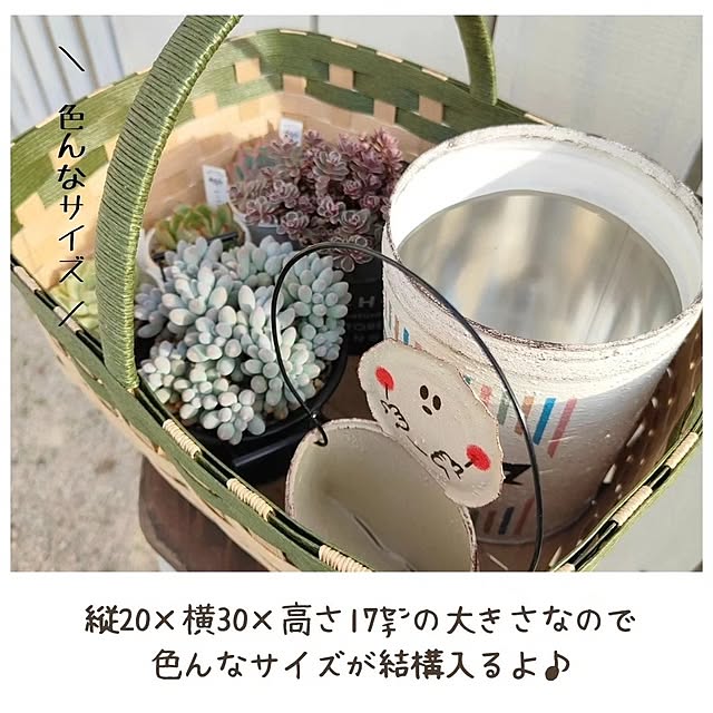 saichanさんの部屋