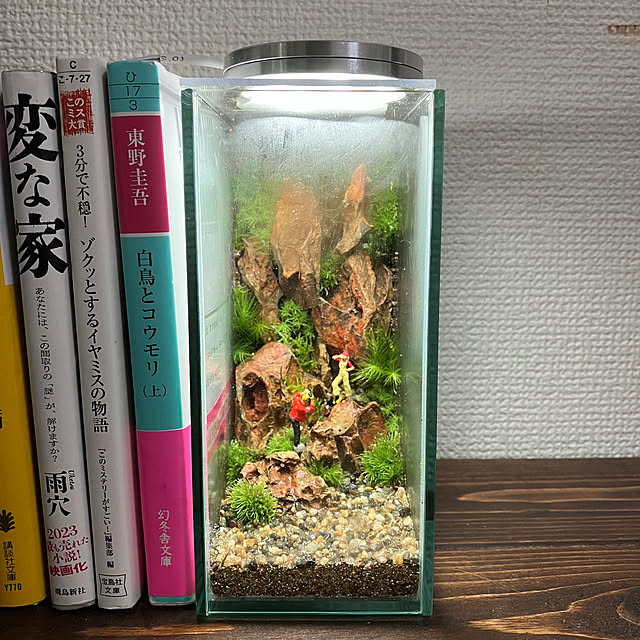 rockoさんの実例写真