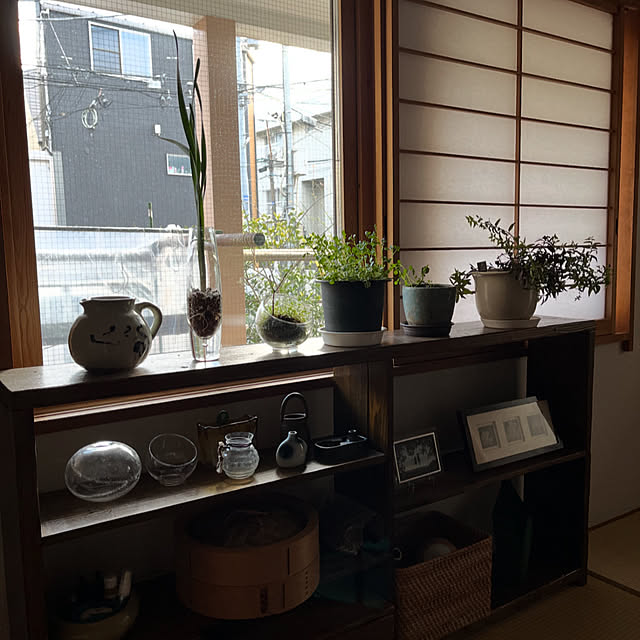 botanさんの部屋