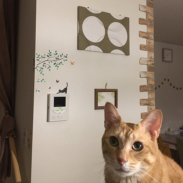 kinokoさんの実例写真