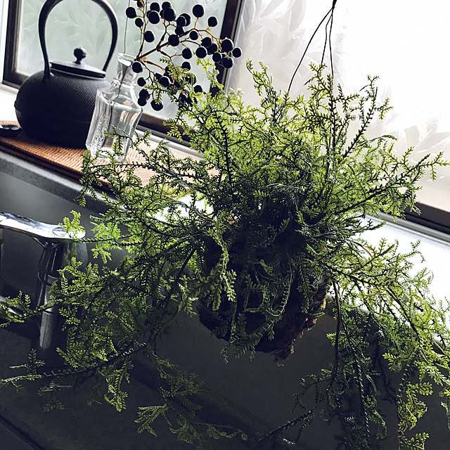 hiroさんの実例写真