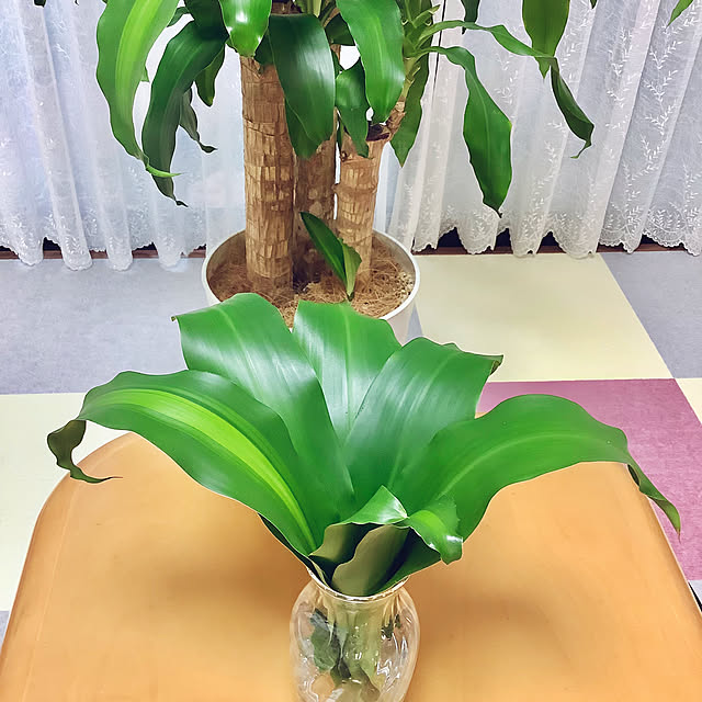 haruminさんの実例写真