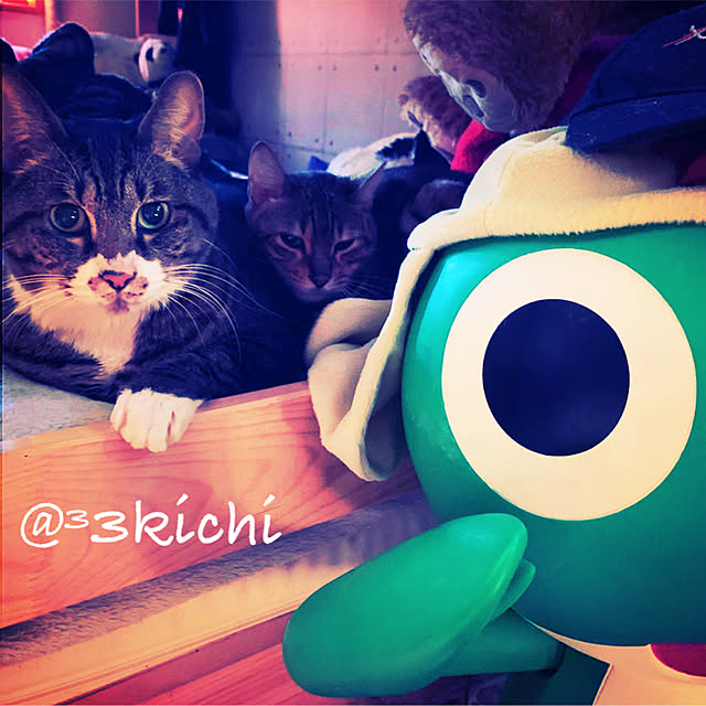 SAKICHIさんの実例写真