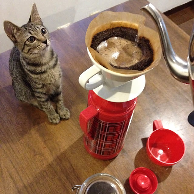 weさんの実例写真