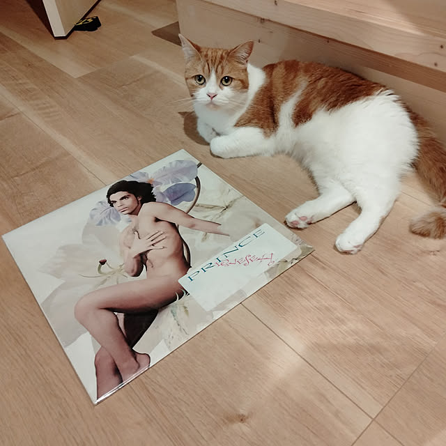 Coney_Island_NYさんの実例写真