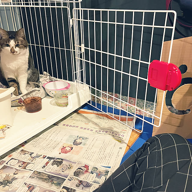 Arataさんの実例写真