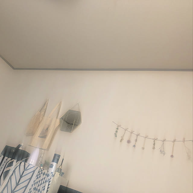 306さんの実例写真