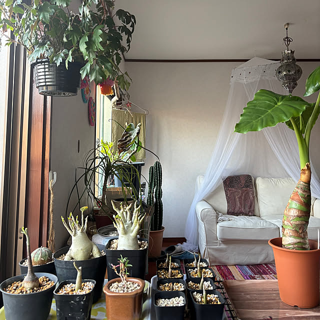 eriさんの実例写真